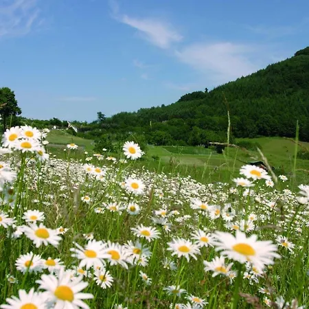 Kleine Foersterhaus Nyaraló Winterberg