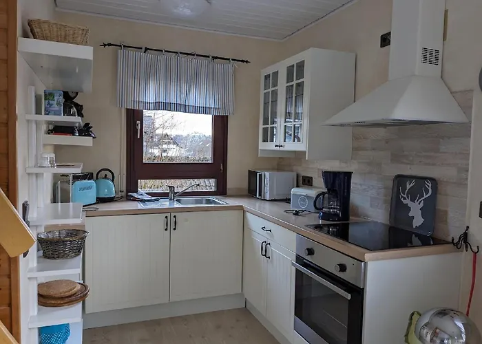 Kleine Foersterhaus Tatil Evi Winterberg