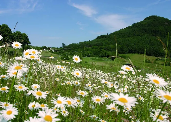 Kleine Foersterhaus Tatil Evi Winterberg